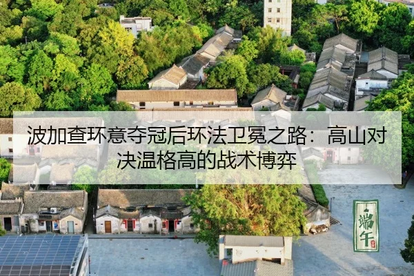 bo-jia-cha-huan-yi-duo-guan-hou-huan-fa-wei-mian-zhi-lu-gao-shan-dui-jue-wen-ge-gao-de-zhan-shu-bo-yi-3-784.jpg