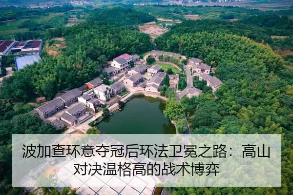 波加查环意夺冠后环法卫冕之路：高山对决温格高的战术博弈