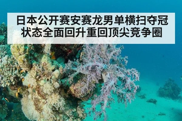 日本公开赛安赛龙男单横扫夺冠状态全面回升重回顶尖竞争圈